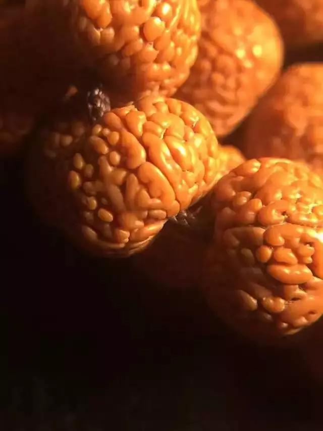 小金刚菩提子纹路图解大全,金刚菩提脖串什么纹路的好