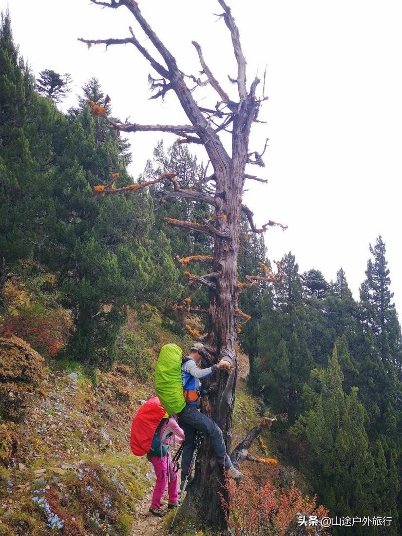 梅里北坡徒步最全攻略,梅里北坡徒步全攻略