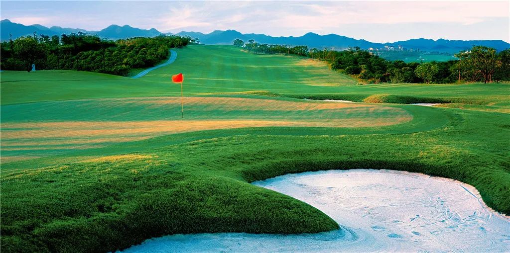 新高尔夫2023,新高尔夫赛