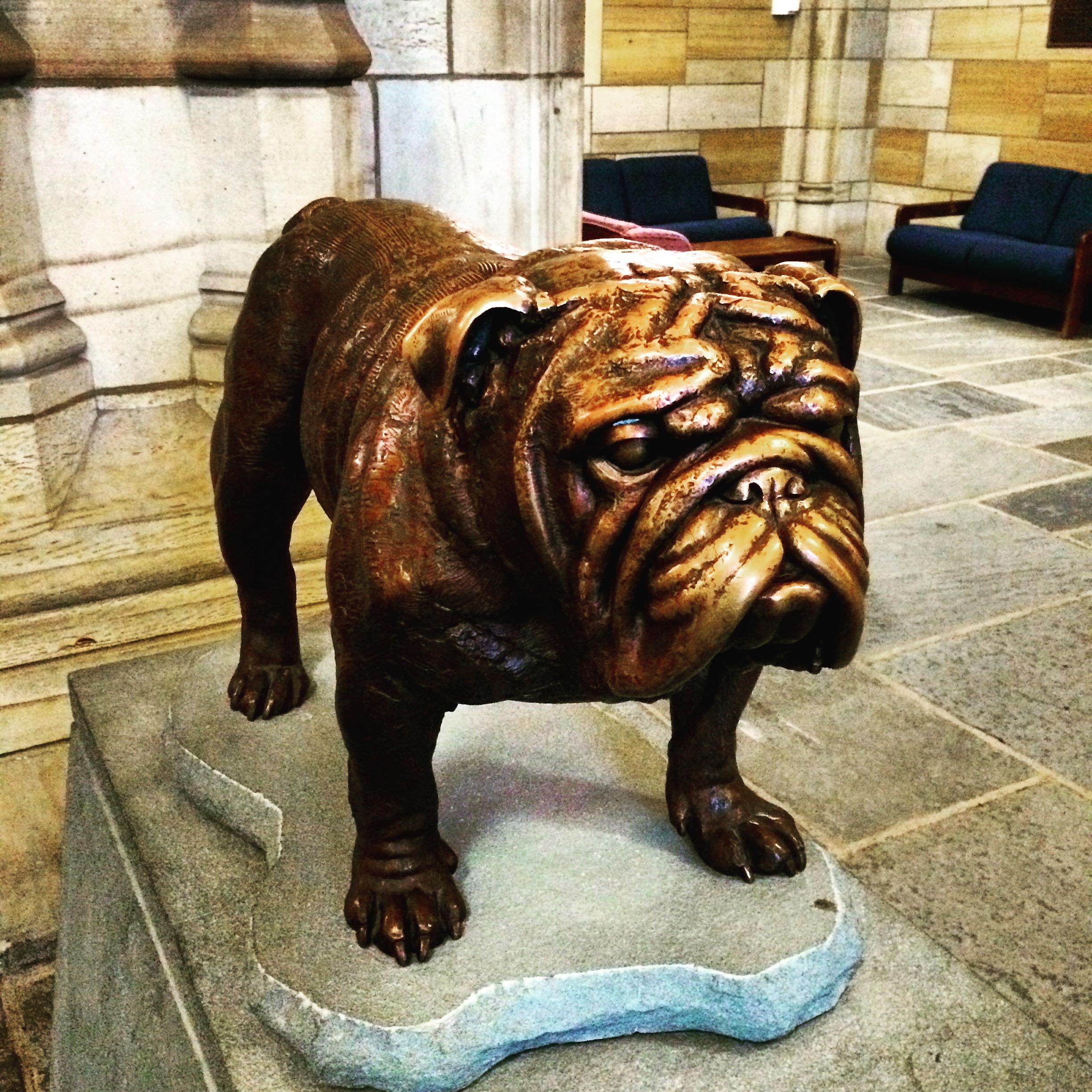 骷髅会成员耶鲁大学,骷髅会总部耶鲁大学