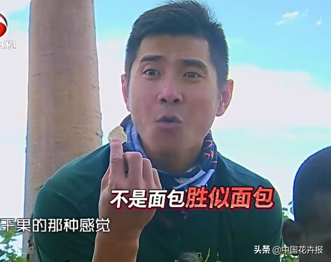 从小就觉得面包树上结的是“面包”？你只差一个亲眼看看的机会