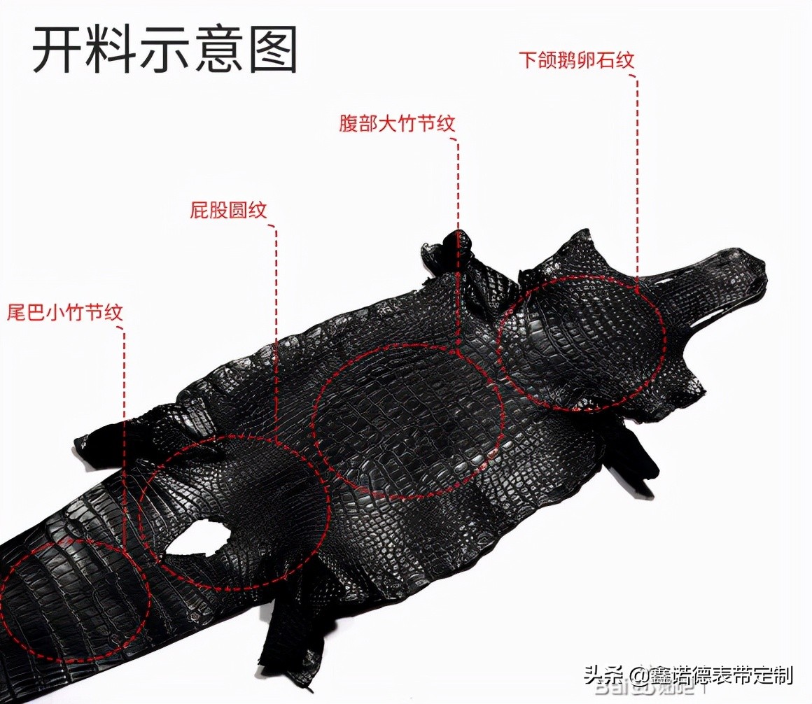 怎么样区分真假鳄鱼皮表带,鳄鱼皮表带一般用什么鳄鱼