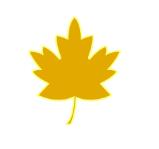 jpgpdf设计图,jpg格式工程布置图转换成cad的软件