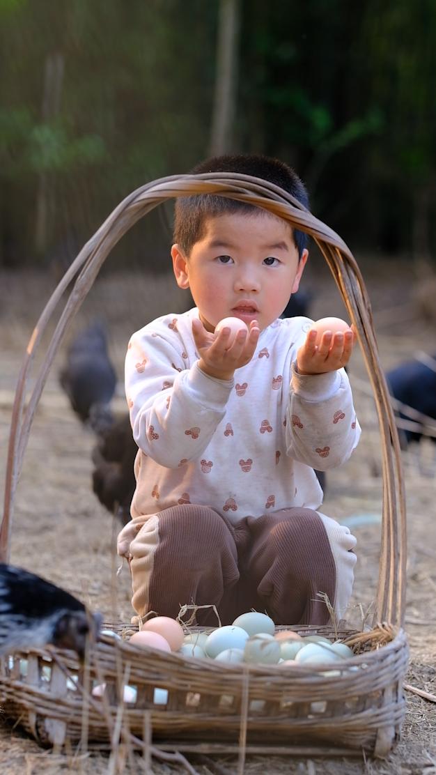 卖完公鸡留母鸡生蛋，不按斤按盒卖70-100块，居然收入千万