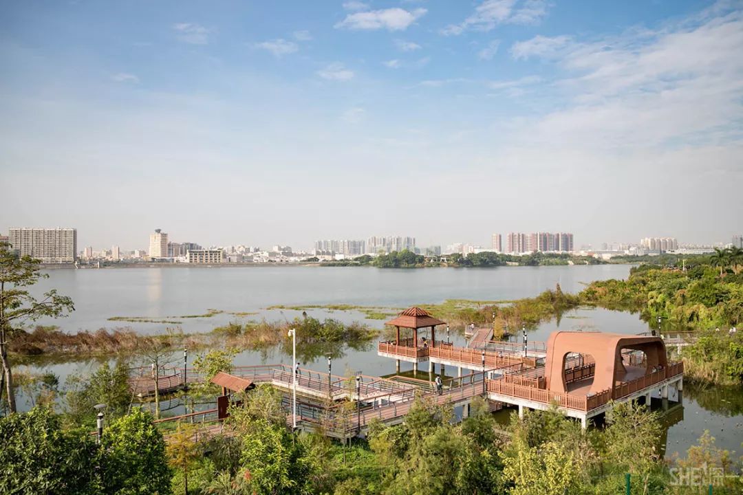 鍘夊浜嗘垜鐨勫ぇ瑗垮畨,鍘夊浜嗘垜鐨勫ぇ鑸熷北