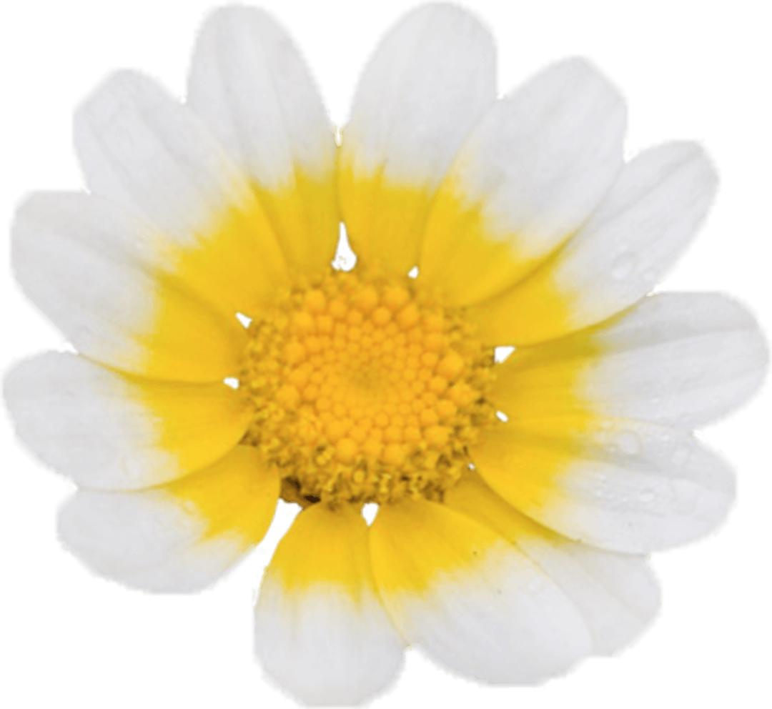 老花眼镜度数怎么配,眼镜度数怎么配最好