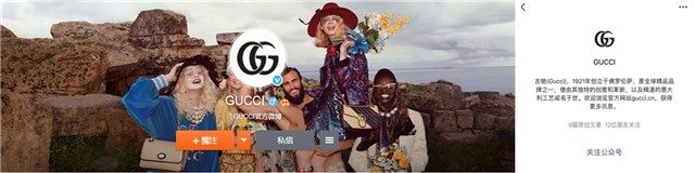 古驰gucci标志,guccilogo又改回来了吗