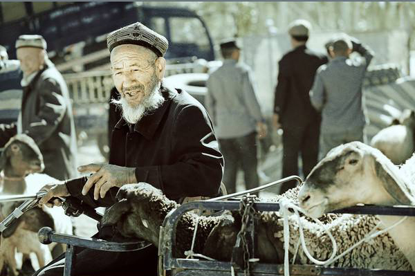 疆内旅游十大好去处,从新疆去哪旅游最便宜