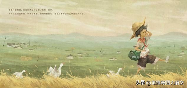 「小学生作文原创」《草房子》摘抄+读后感