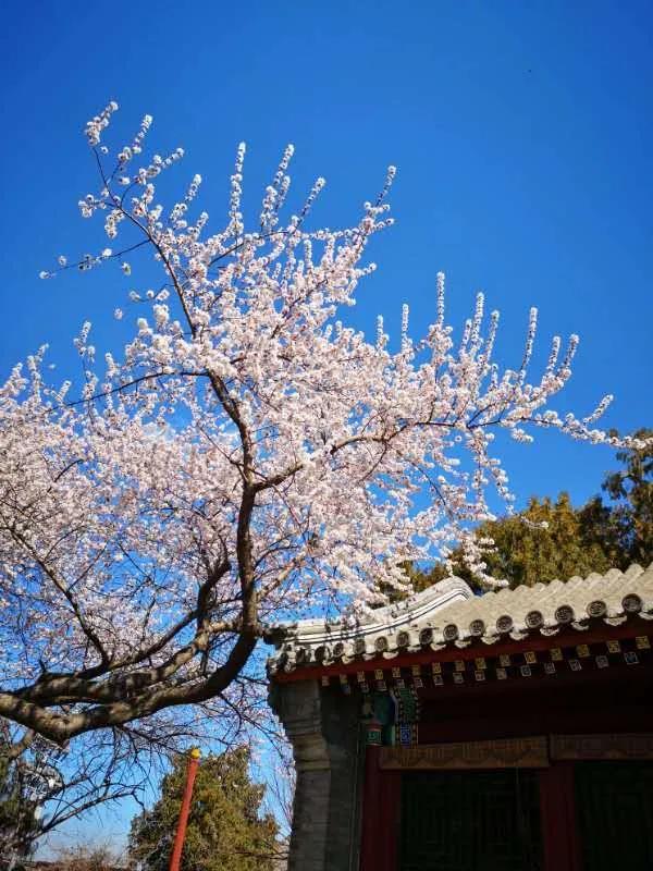 疫情海外销售,海外疫情如何利用跨境电商