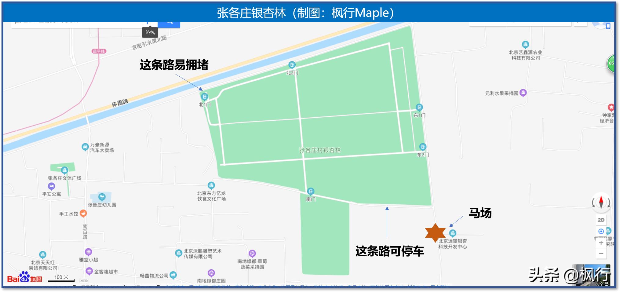北京18个看银杏的好地方在哪,北京八大处看银杏攻略