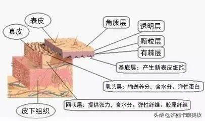 视黄醇精华抗皱的原理,视黄醇抗皱推荐