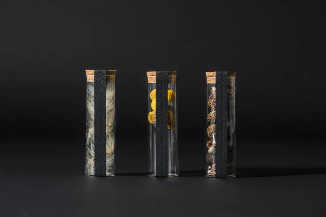 2021产品设计缪斯金奖,muse缪斯国际设计金奖