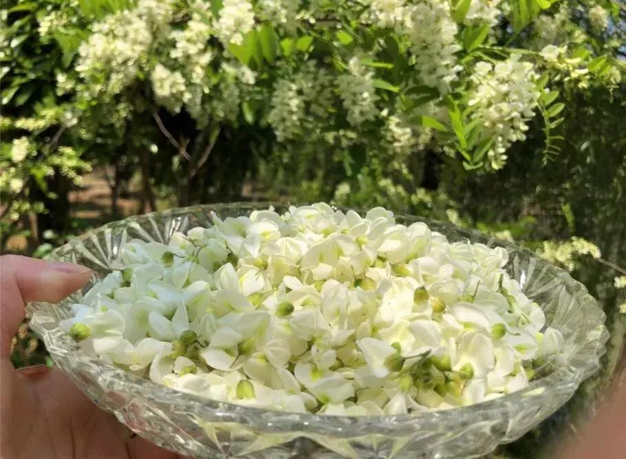 泰州溱湖来自1800米湿地深处云海温泉人文湖景别墅，独享惬意时光