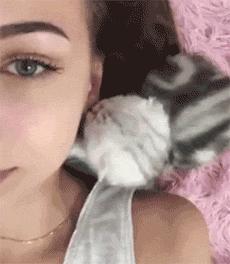 猫舔你是因为它把你当成小弟了吗,如果你家猫咪爱舔你这是什么表现