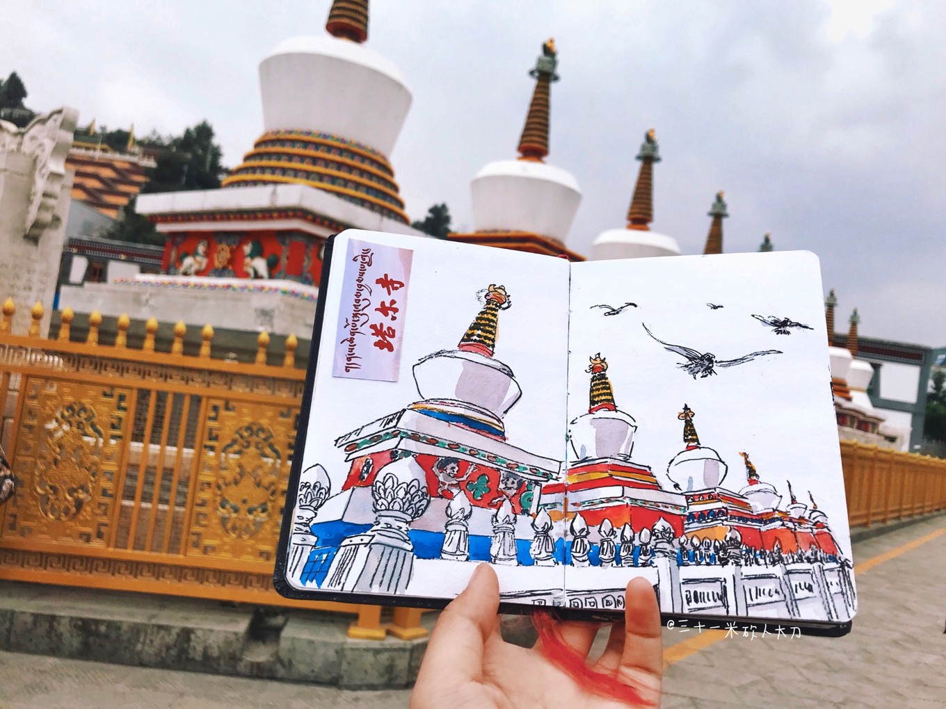 双擎飞驰，攻略青海绝色|不负那些隐世的美好