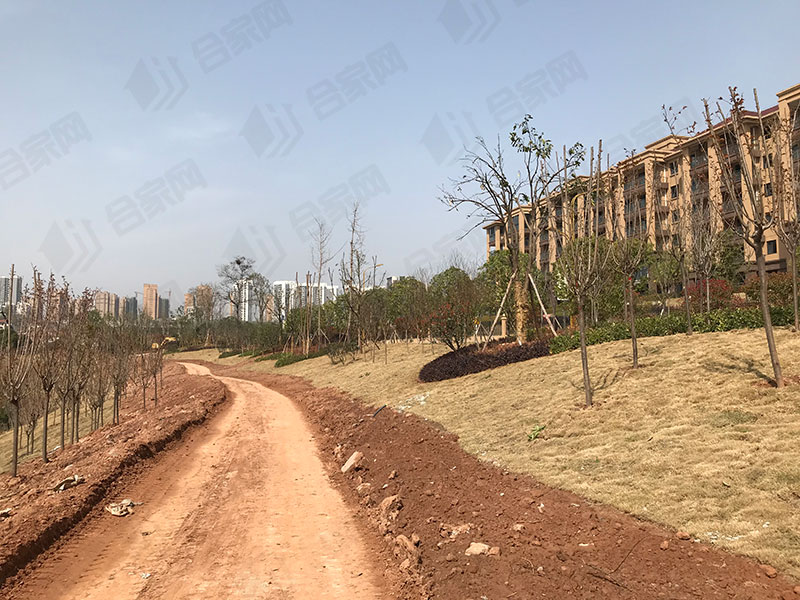 实探楼盘园林实景,山水如画宜昌楼盘周边规划