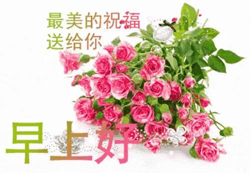 六月最近的早上好祝福语动态图片,新的五月份早上好问候图片
