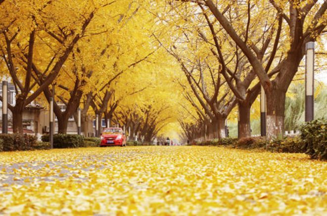 白云新城中海云麓公馆和保利云禧,南京中海原山和保利云禧对比