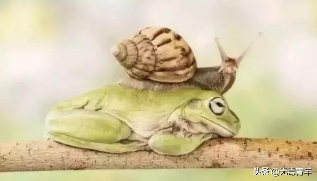 被囚34年取精，被迫亲手杀死爱子，最后只能挣扎着死去…