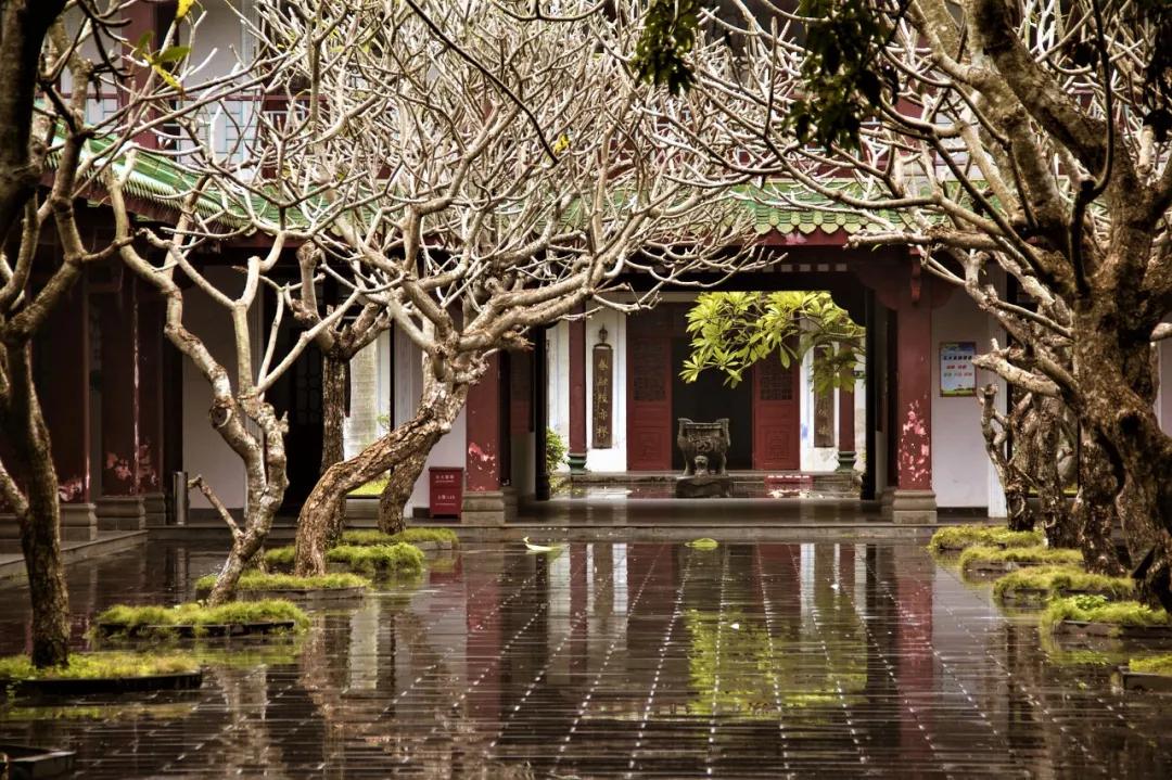 citywalk最受欢迎的旅游方式,citywalk自由行