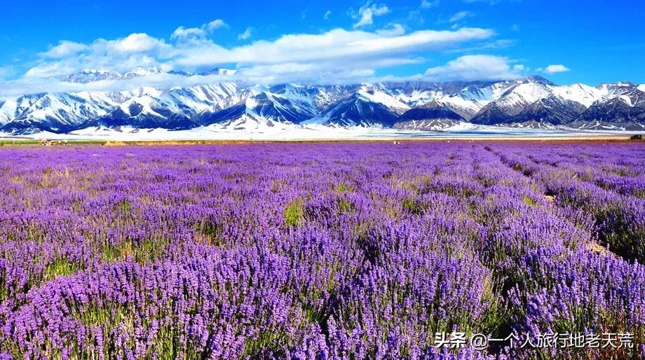 治愈系风景一辈子总要去一次新疆,去新疆的路上看不一样的风景
