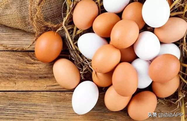 蛋仔派对究竟隐藏什么秘密,蛋仔派对的隐藏秘密