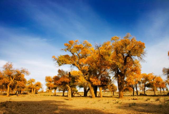 唯愿不负美景不负卿,不负美景不负卿什么意思