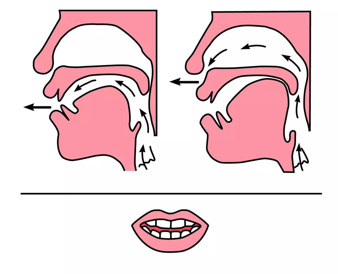 儿童拼音前鼻音和后鼻音发音教程,小学拼音前鼻音后鼻音怎么区分