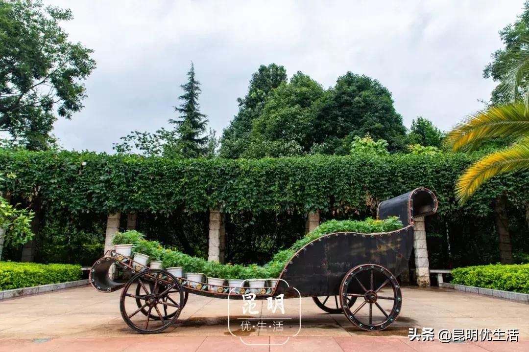 我眼中的云南财经大学,母校云南财经大学