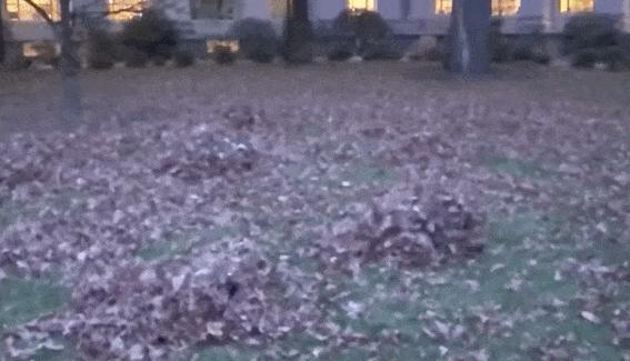 一群机械狗的球技展示，未来科技