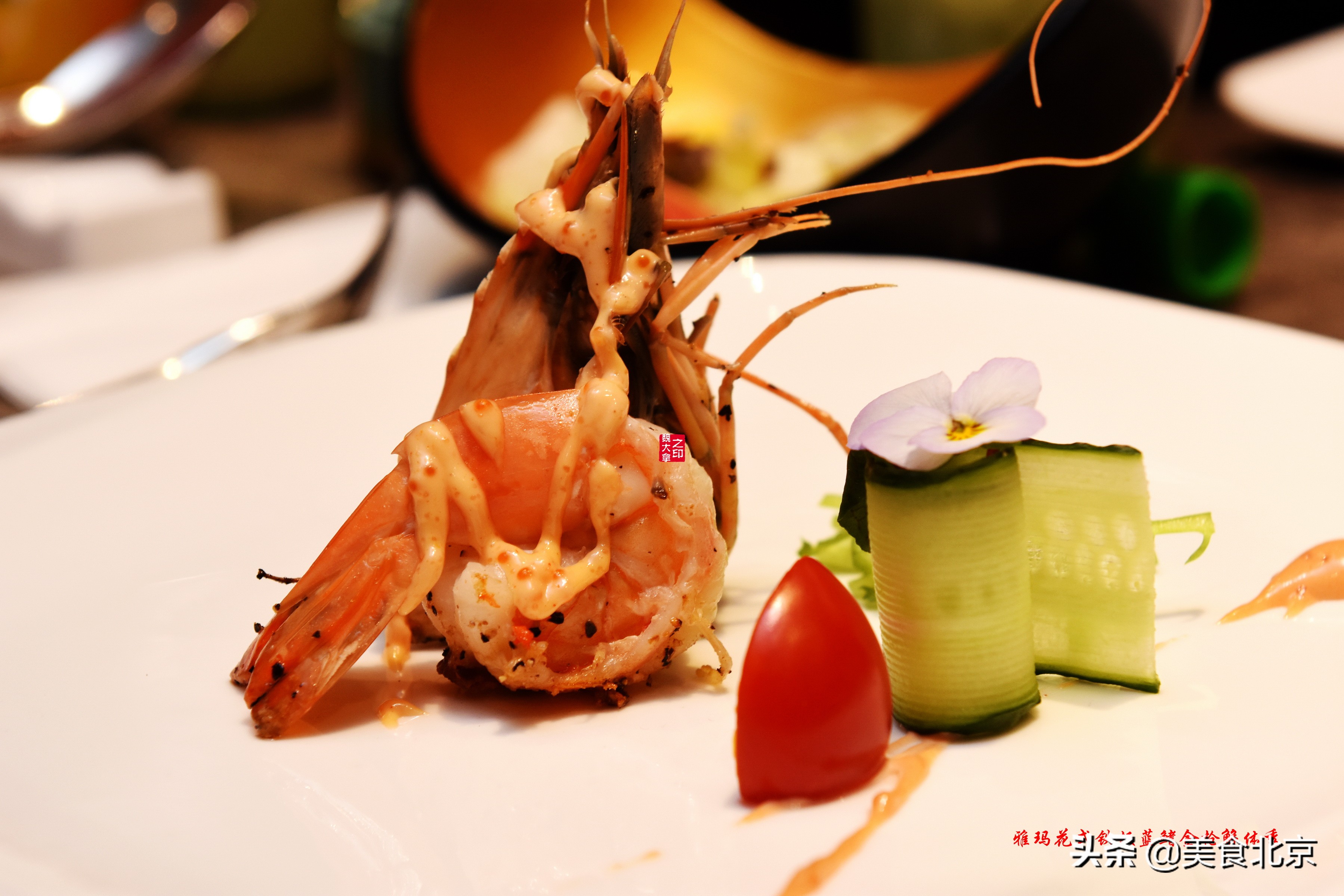 蓝鳍金枪鱼开鱼秀,深海捕蓝鳍金枪鱼