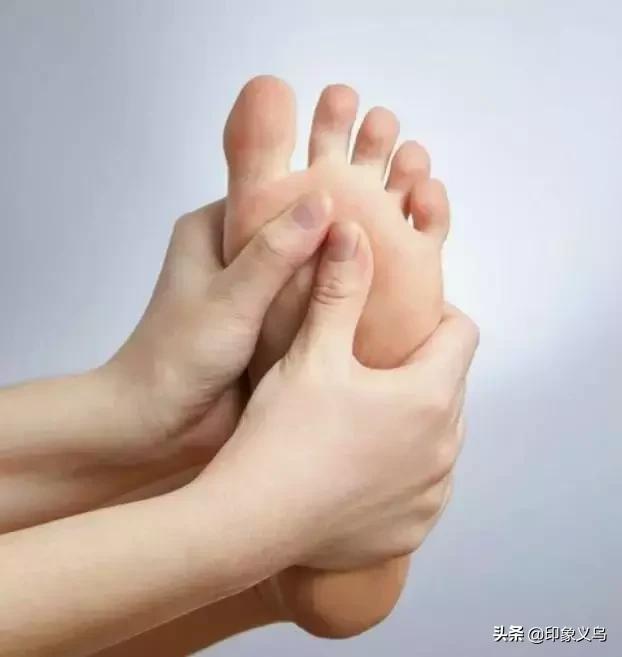 过期药片可以养什么花,用过期的药片能种花吗