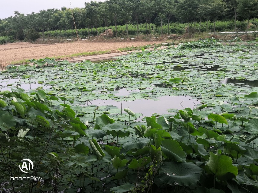 致永远回不去的童年六一儿童节,六一特辑致我们终将逝去的童年