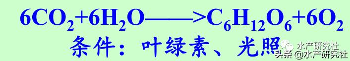 蓝藻是否都是有害藻类,蓝藻的爆发原因及处理方法