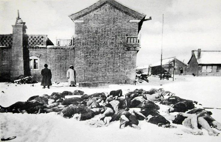 板蓝根2024年以后的前景如何,板蓝根将迎来转折点