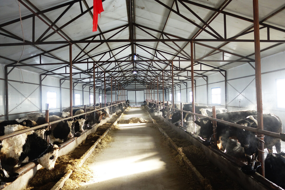 池州最新引资项目,池州市有没有好商机