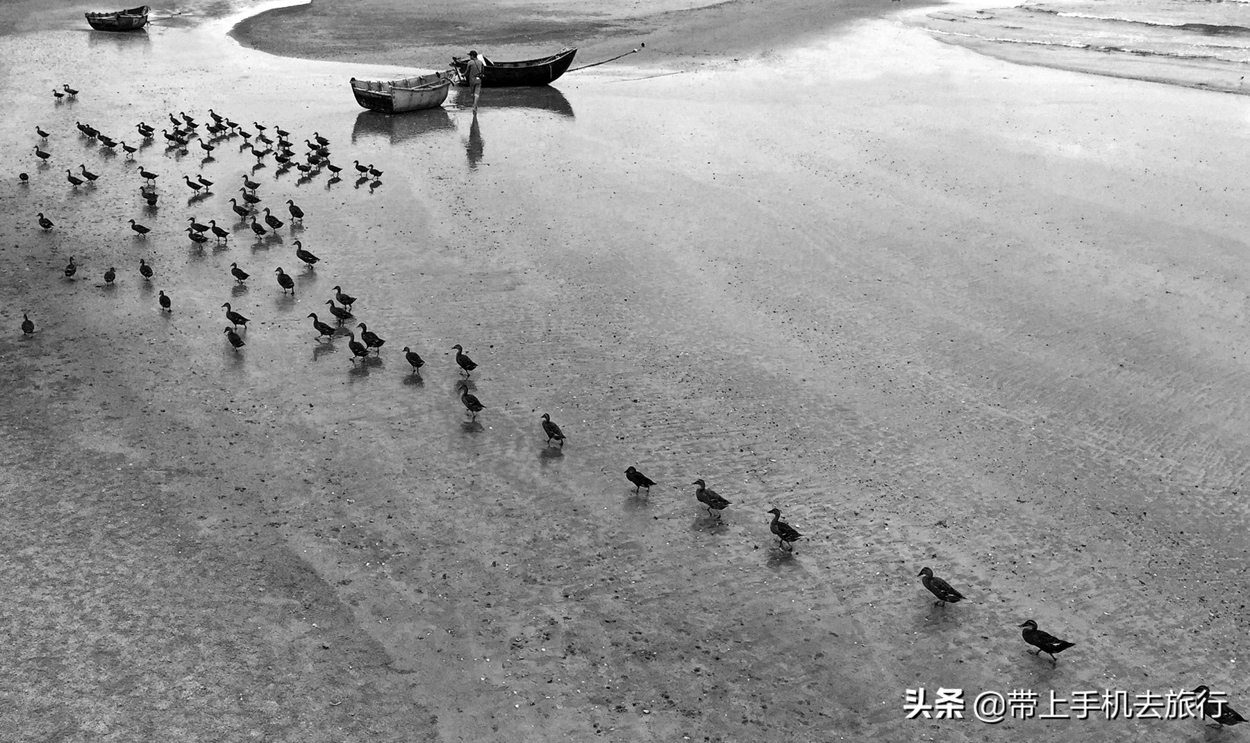 如何将手机相册里的彩照变黑白,手机怎么把黑白照变成彩色的