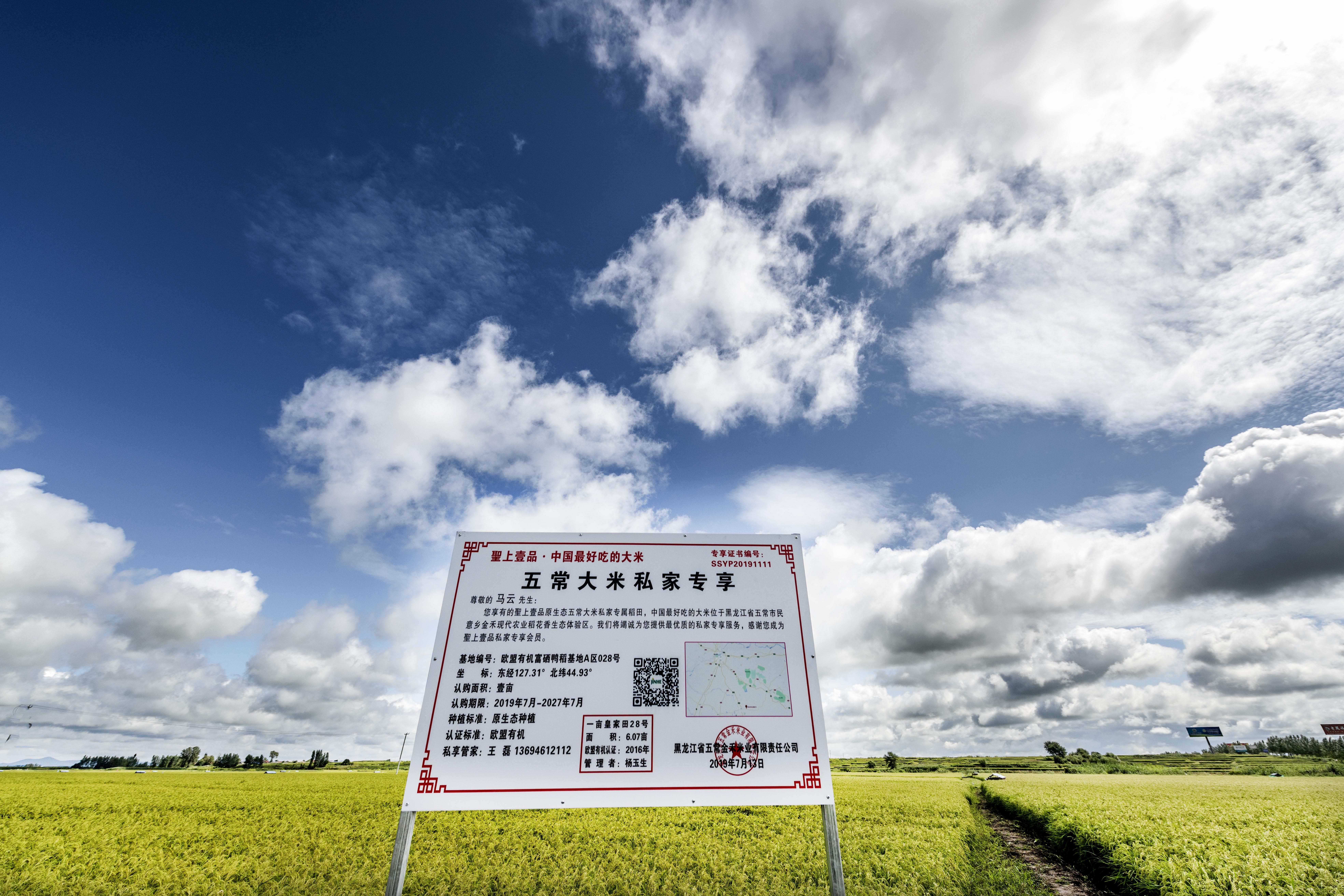 代购代销各地大米,托朋友买东西发现是假货