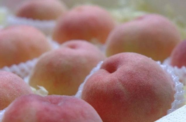 阳山水蜜桃的特点就是汁水十足,真正的浓缩精华