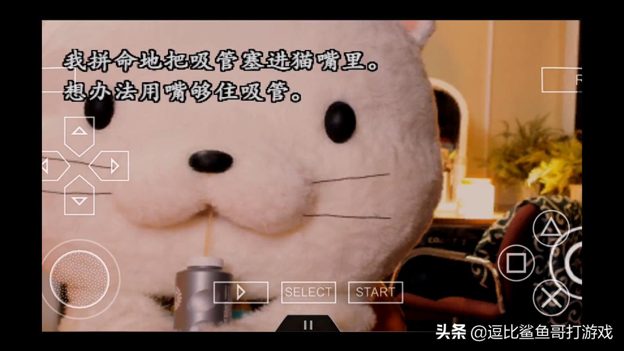 428被封锁的涩谷剧情解说,被封锁的涩谷剧情