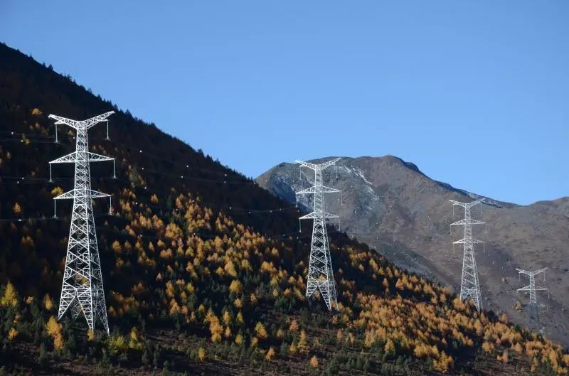 供给革命动力足蹄疾步稳见初心丨综述