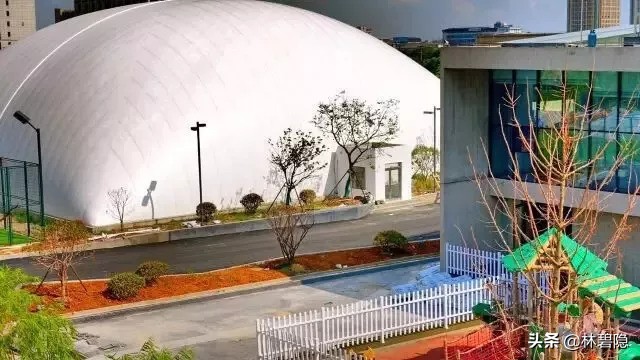 上海最贵的贵族学校,上海最贵学校排名前十