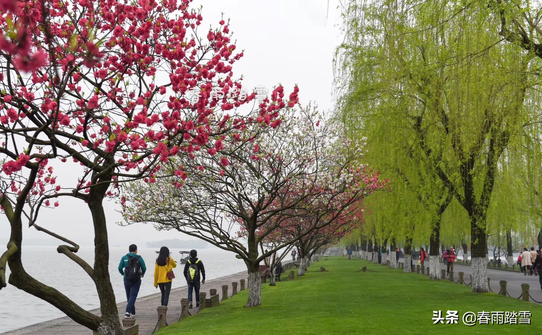 西湖十景苏堤春晓,西湖十景最美的是哪个