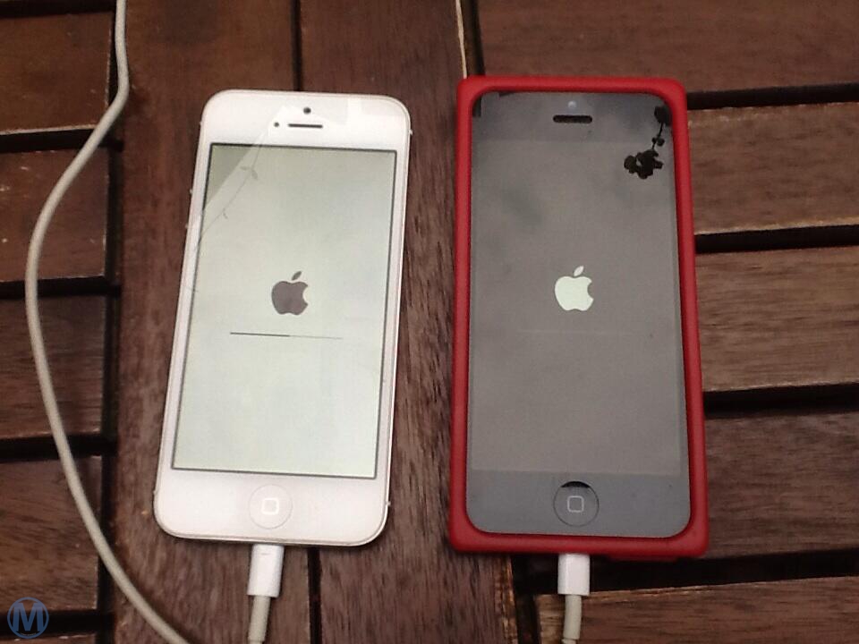 iphone出现白苹果重启怎么办,iphone5死机一直白苹果开不了机