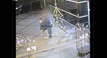 新西兰女孩被杀原因,2010新西兰女留学生被杀