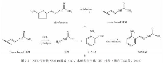 动物源性食品中有害化学物质及污染物的检测——硝基呋喃类药物