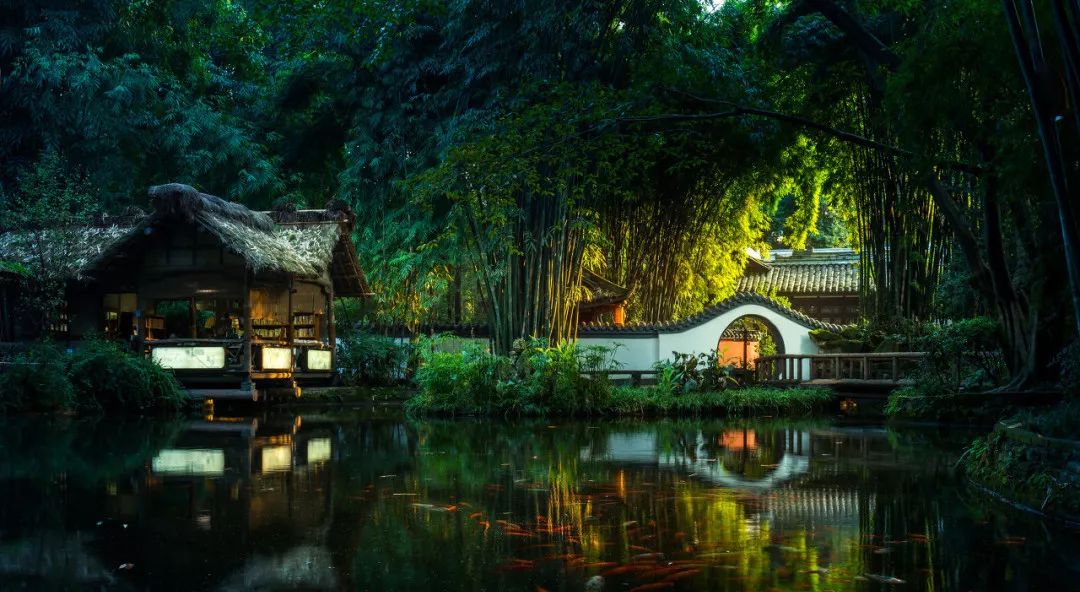 我本以为它只是一本教种花的书，没想到它却在我心里造了一个花园