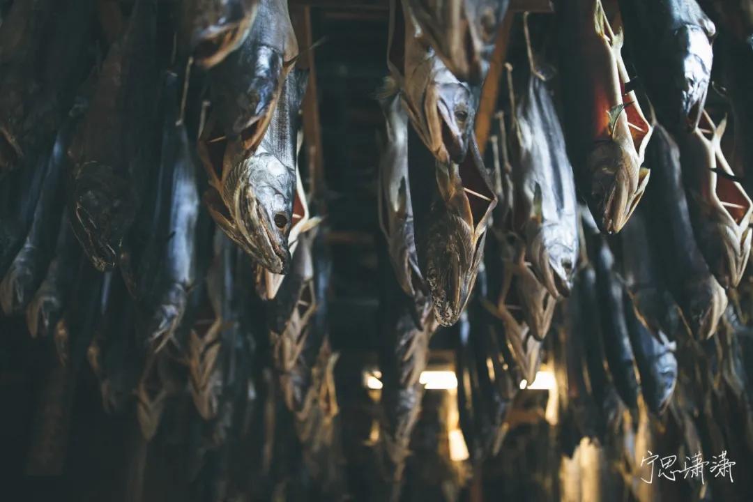 “5”缘有缘我与摄影的故事也是我与佳能“5”的故事