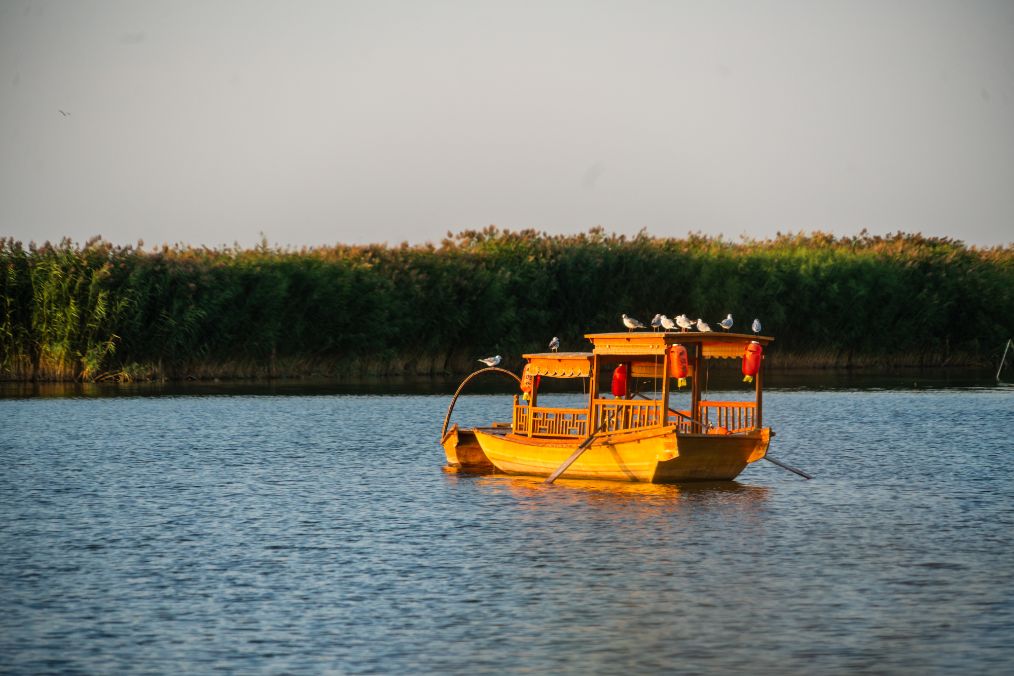 她是滔滔千里黄河的宠儿,阴山之下、河套之上的掌上明珠
